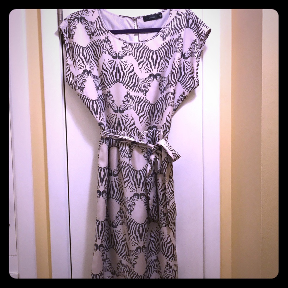 The Limited Zebra Dress